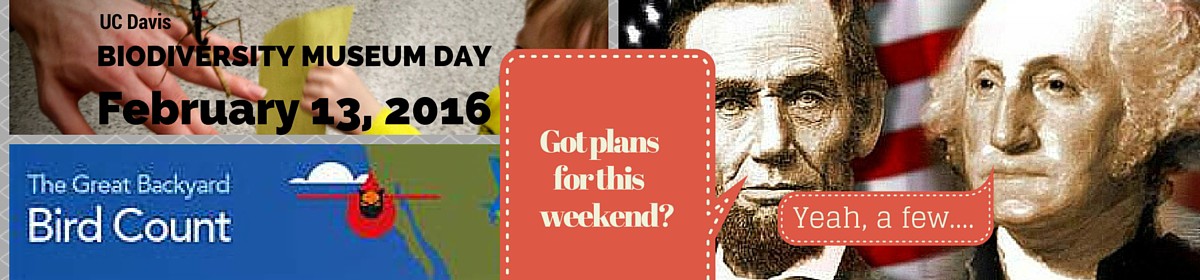 Need some free educational plans for this President’s Day weekend? Here you go!