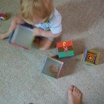 Bl nesting blocks 1